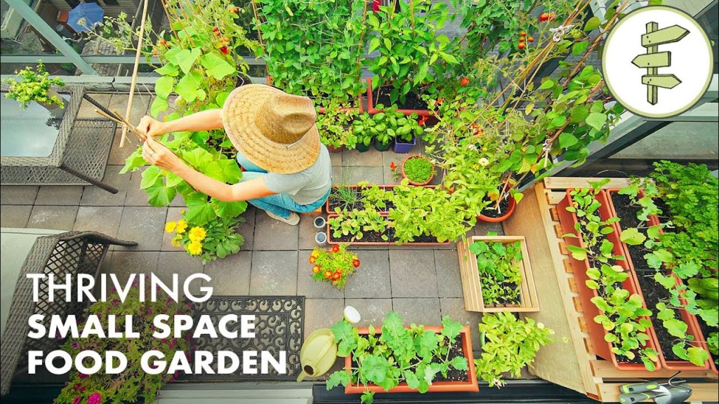 Growing TONS of FOOD in a Super Small Garden – Balcony Container Garden&nbsp;Tour
