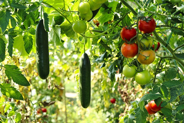Top 10 Viral & High-Demand Backyard Vegetable Business Ideas for 2025: Grow, Sell, Succeed!