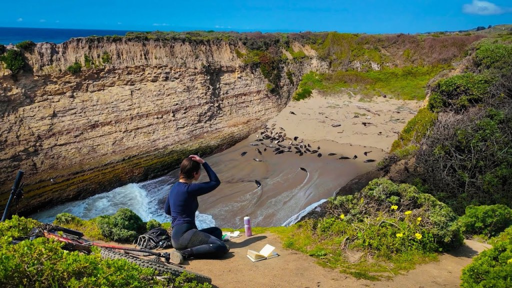 A weekend of Mountain Biking & Painting&nbsp;Outdoors