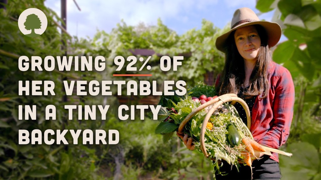 Amazing Permaculture Garden in the City Grows an Abundance of Food!